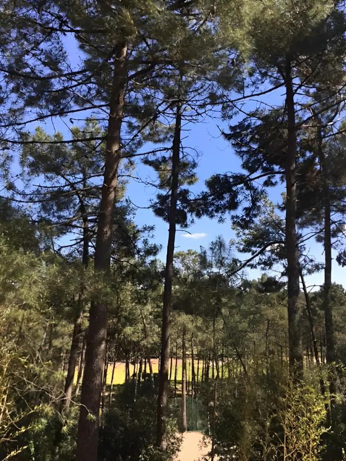 拉卡诺Un Nid Dans La Pinede别墅 外观 照片